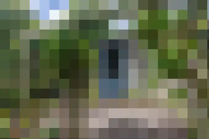 Ipenrodeplantsoen 17 Den Haag thumbnail 17