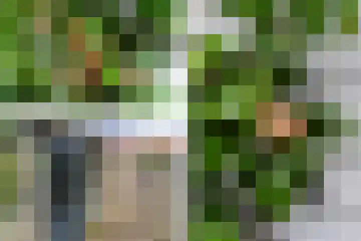 Ipenrodeplantsoen 17 Den Haag thumbnail 18