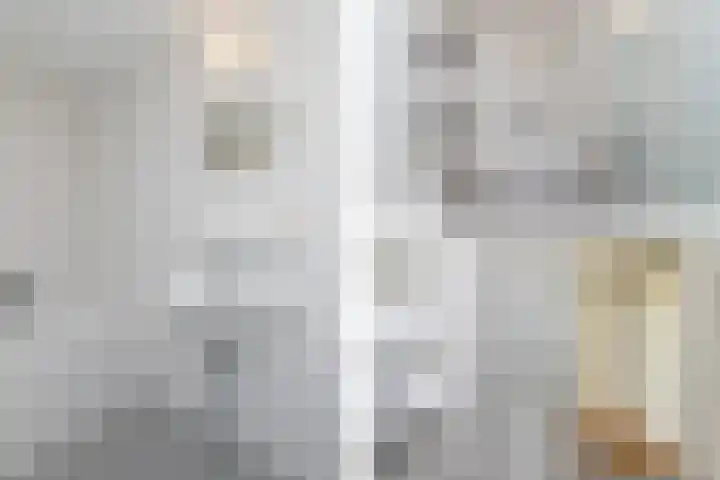 Ipenrodeplantsoen 17 Den Haag thumbnail 25