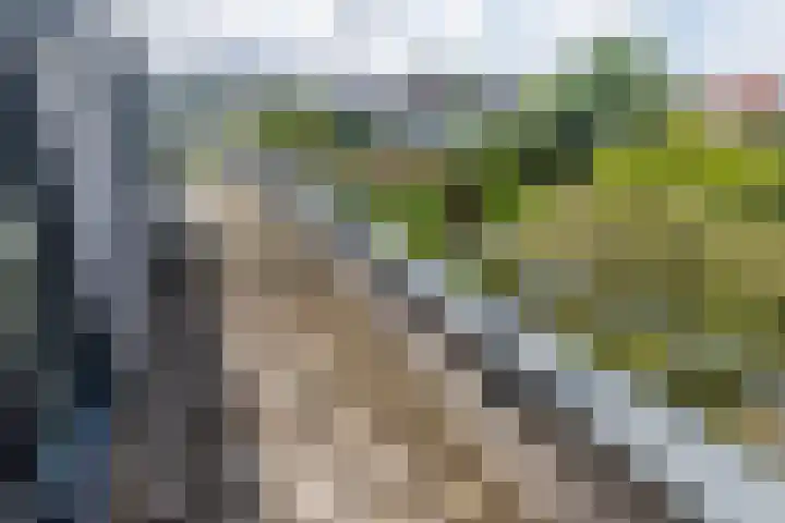 Ipenrodeplantsoen 17 Den Haag thumbnail 31