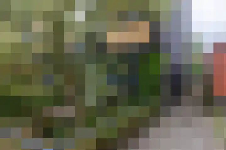 Ipenrodeplantsoen 17 Den Haag thumbnail 36