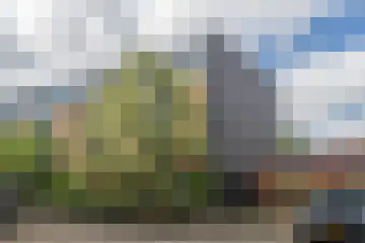 Ipenrodeplantsoen 17 Den Haag thumbnail 37