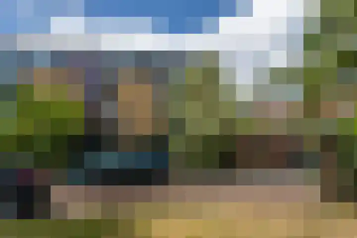 Ipenrodeplantsoen 17 Den Haag thumbnail 38