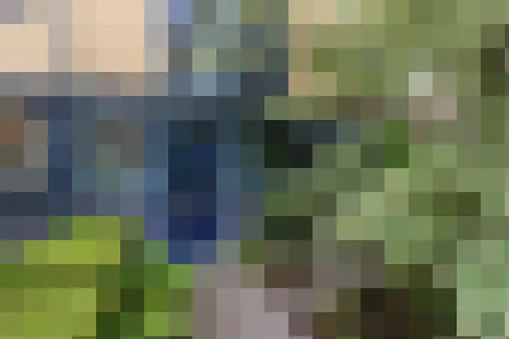 Ipenrodeplantsoen 17 Den Haag thumbnail 5