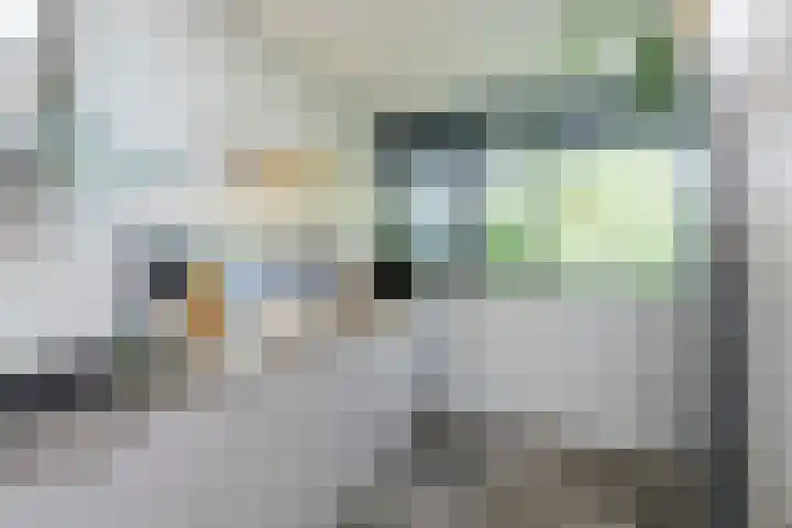 Ipenrodeplantsoen 17 Den Haag thumbnail 9