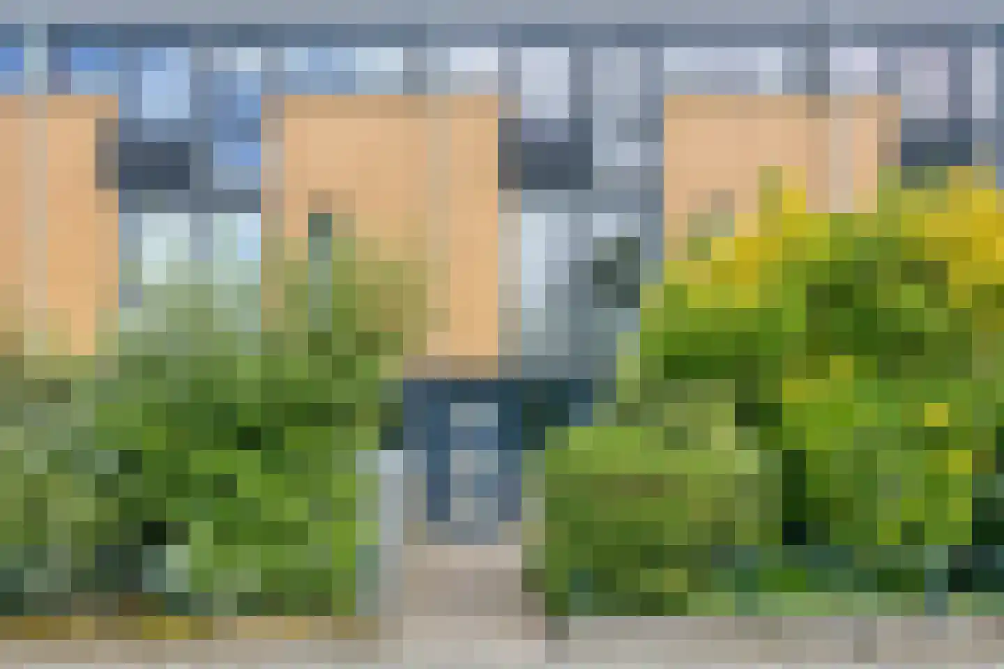 Ipenrodeplantsoen 22 Den Haag