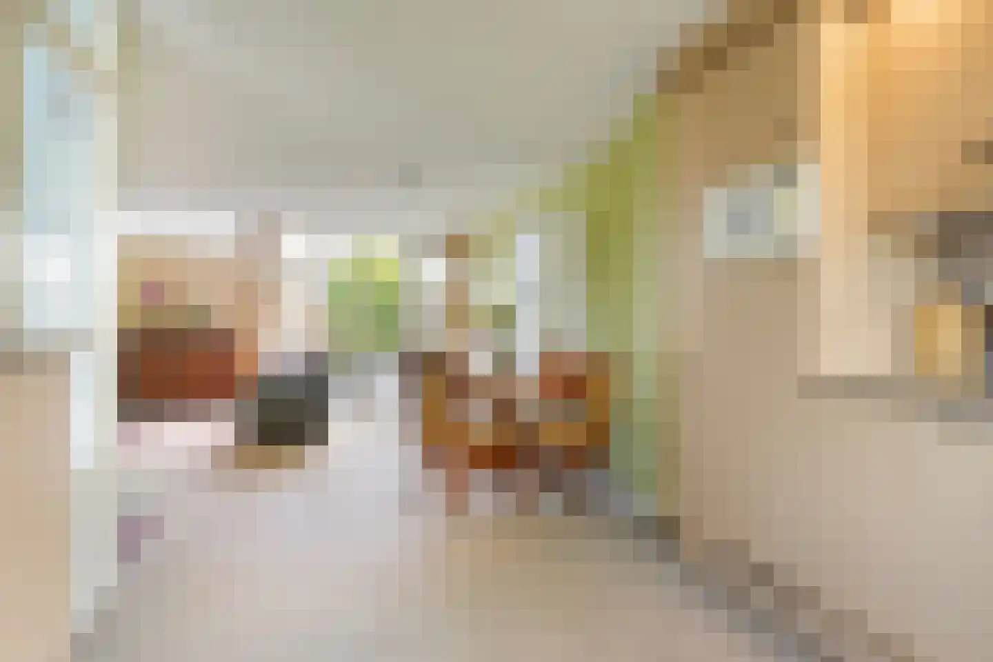 Ipenrodeplantsoen 22 Den Haag thumbnail 11