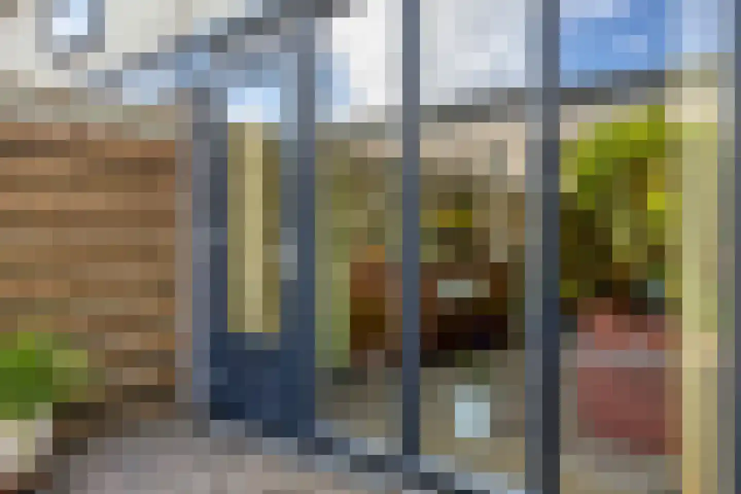 Ipenrodeplantsoen 22 Den Haag thumbnail 16