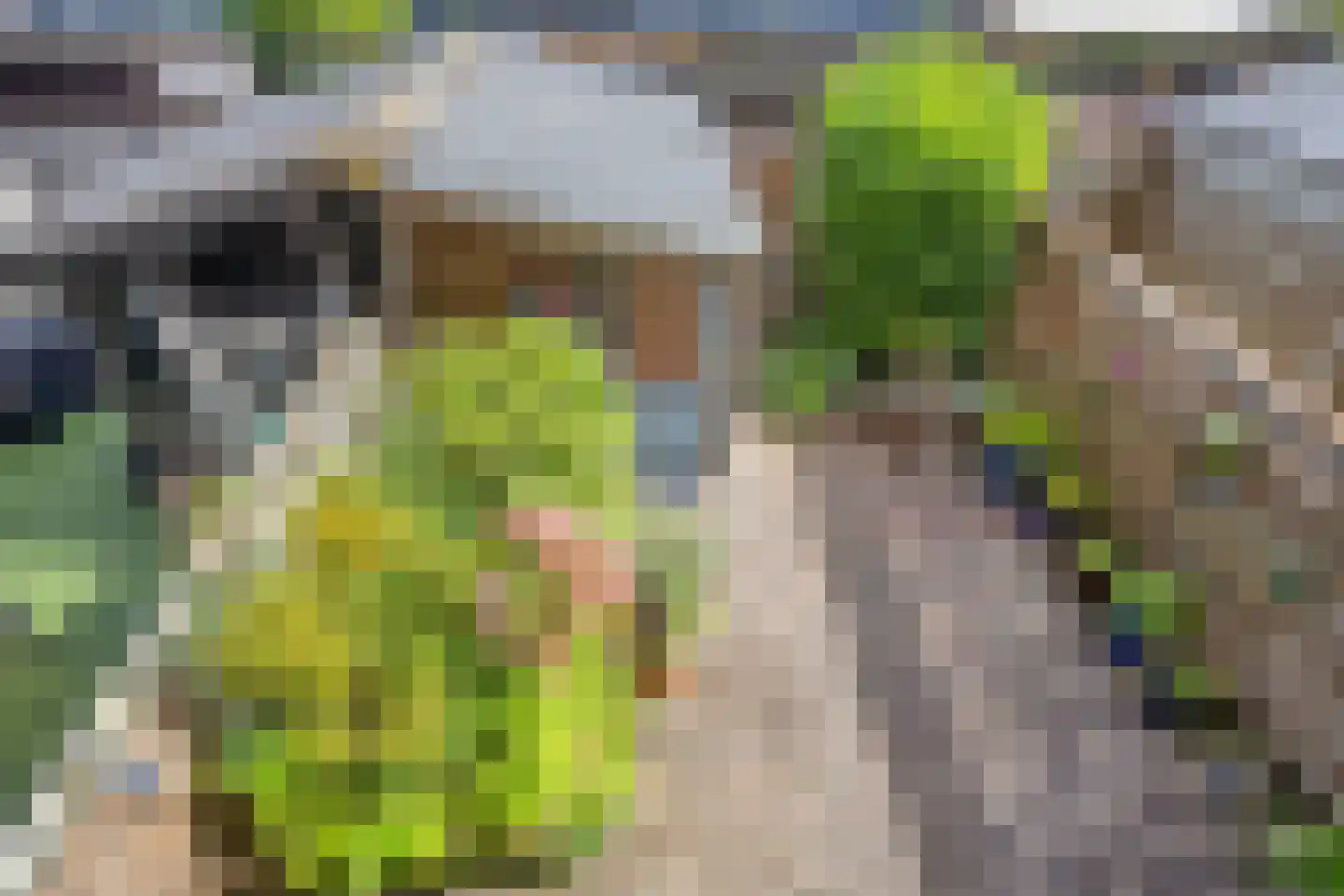Ipenrodeplantsoen 22 Den Haag thumbnail 18