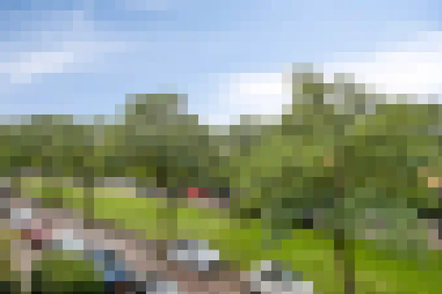 Ipenrodeplantsoen 22 Den Haag thumbnail 35
