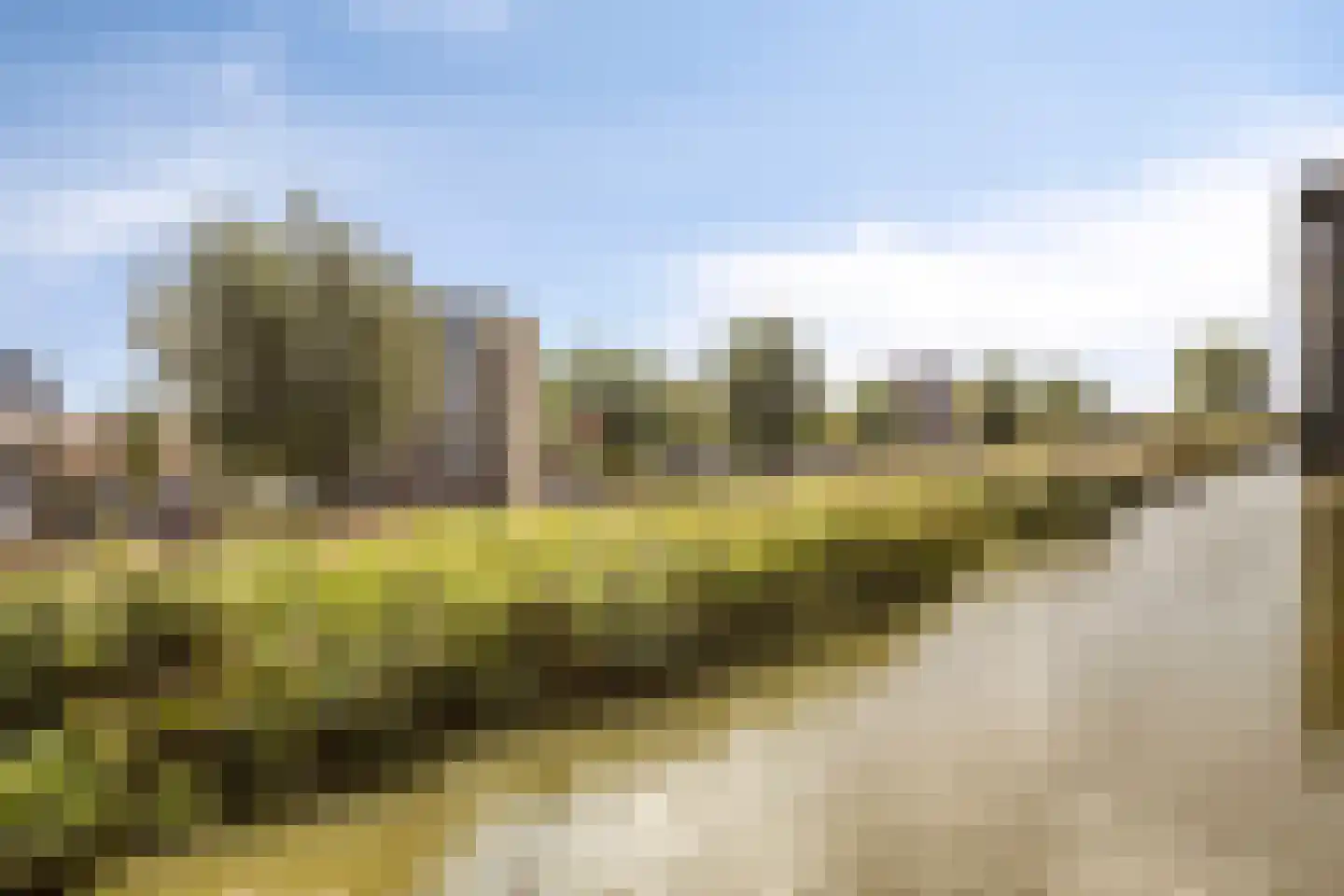 Ipenrodeplantsoen 22 Den Haag thumbnail 40