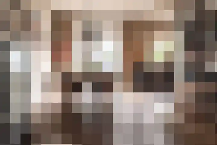 Ipenrodestraat 15 Haarlem thumbnail 15