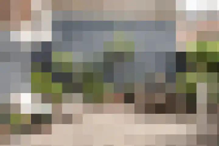 Ipenrodestraat 15 Haarlem thumbnail 20