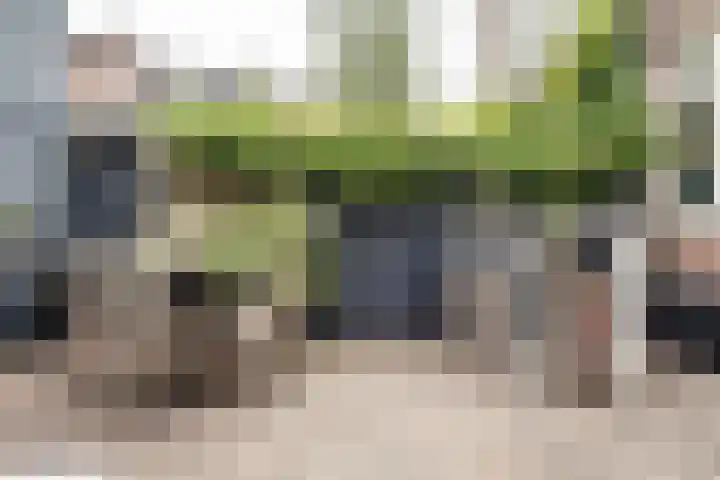 Ipenrodestraat 15 Haarlem thumbnail 21