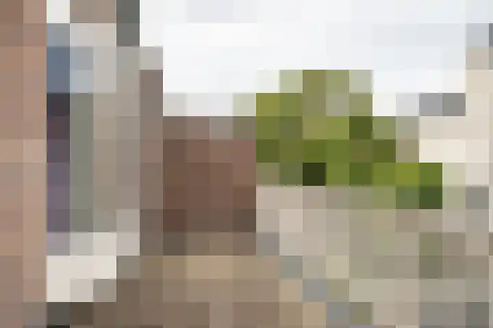 Ipenrodestraat 15 Haarlem thumbnail 37