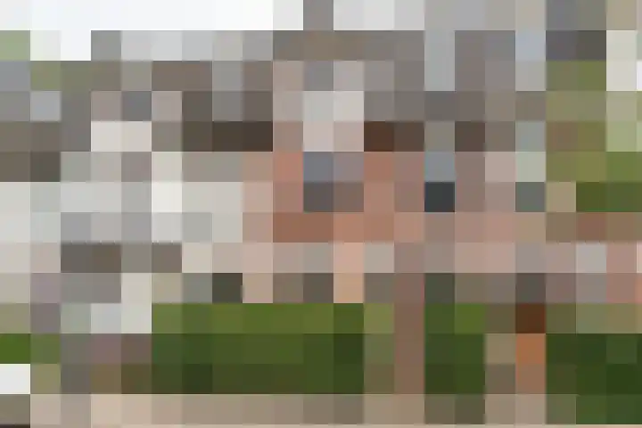 Ipenrodestraat 15 Haarlem thumbnail 4