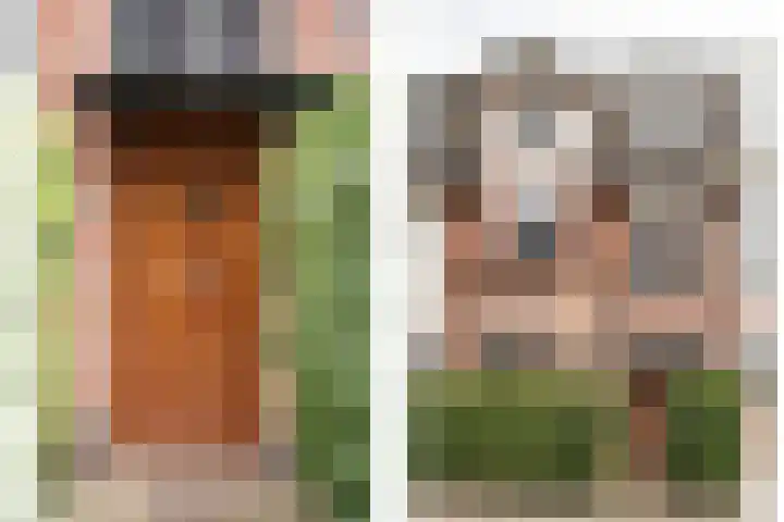 Ipenrodestraat 15 Haarlem thumbnail 5