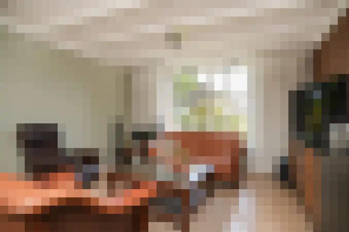Ipperakkeren 12 Kerkdriel thumbnail 10