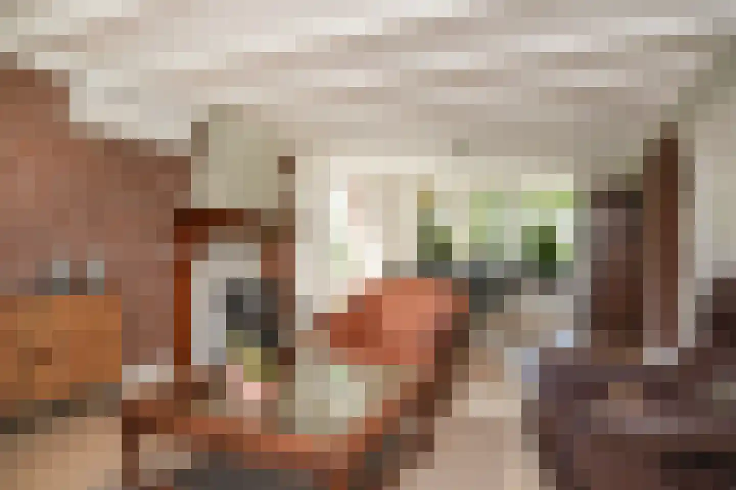 Ipperakkeren 12 Kerkdriel thumbnail 11