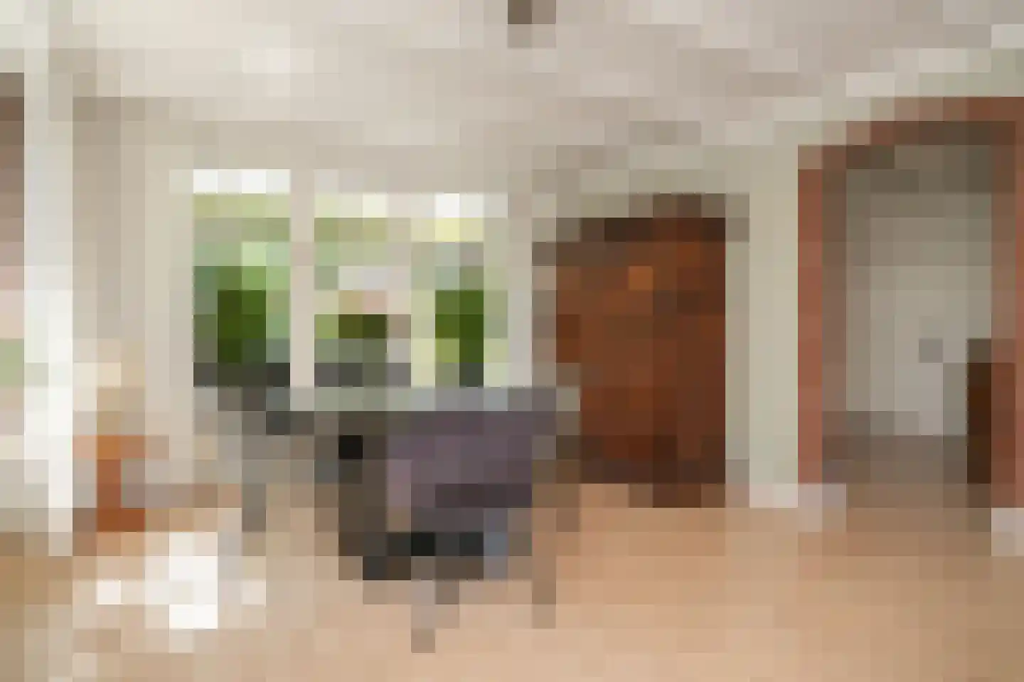Ipperakkeren 12 Kerkdriel thumbnail 13