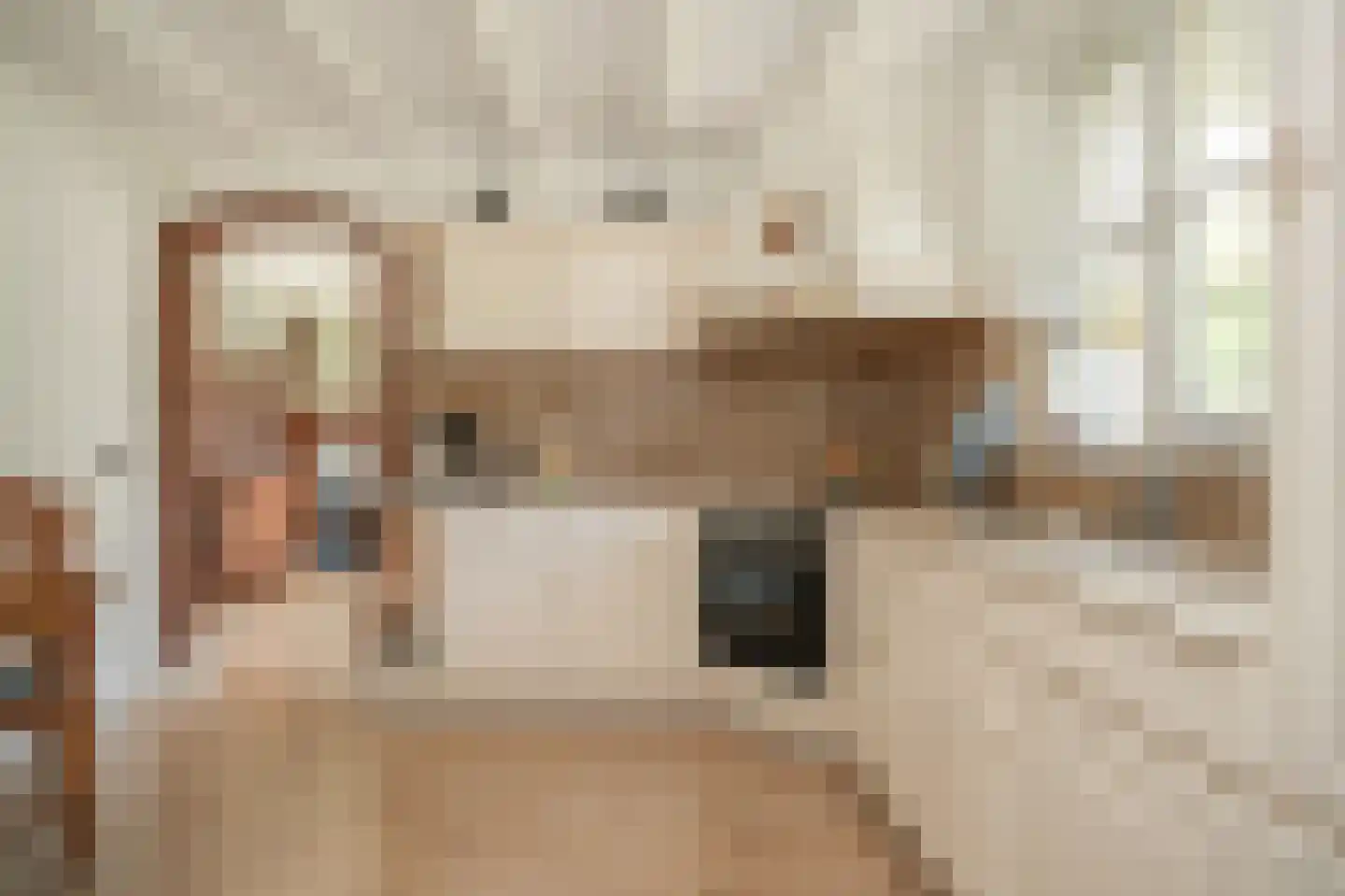 Ipperakkeren 12 Kerkdriel thumbnail 15