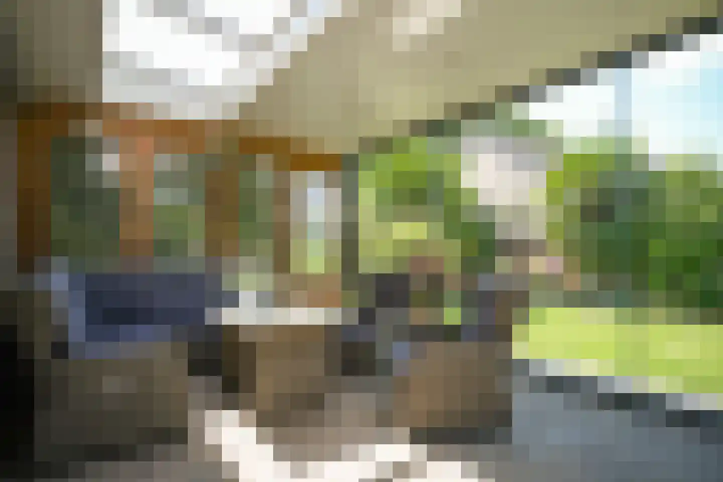 Ipperakkeren 12 Kerkdriel foto 3