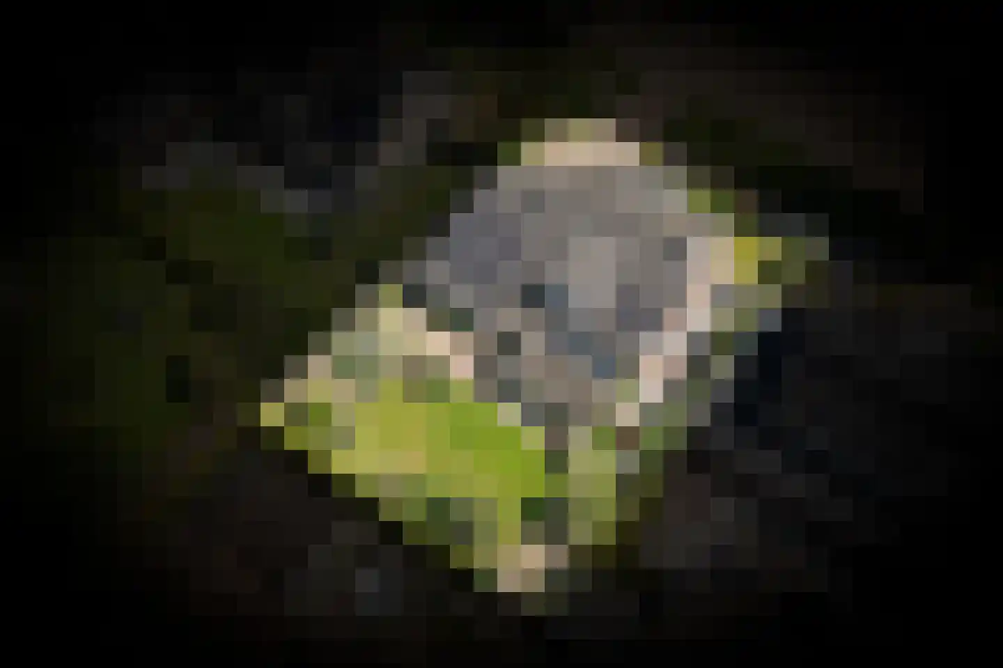 Ipperakkeren 12 Kerkdriel thumbnail 4