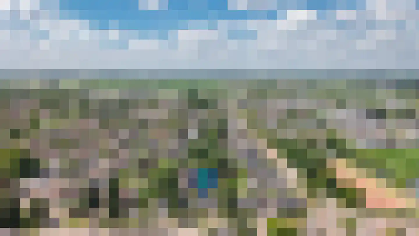Ipperakkeren 12 Kerkdriel thumbnail 48