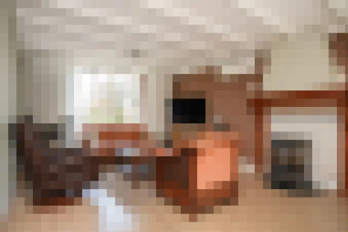 Ipperakkeren 12 Kerkdriel thumbnail 7