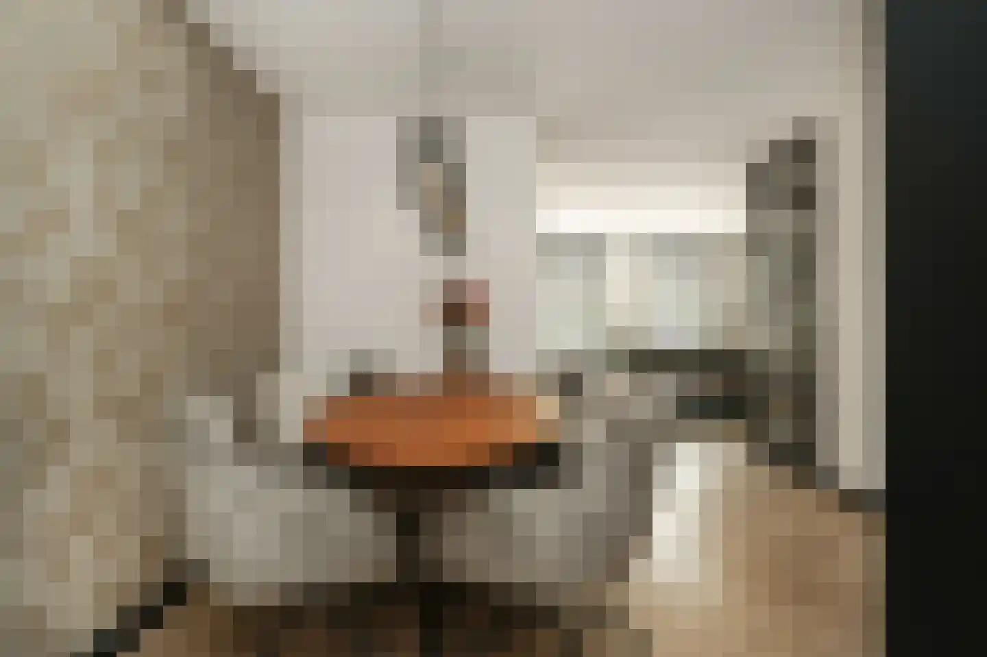 Ipperakkeren 24 Kerkdriel thumbnail 13