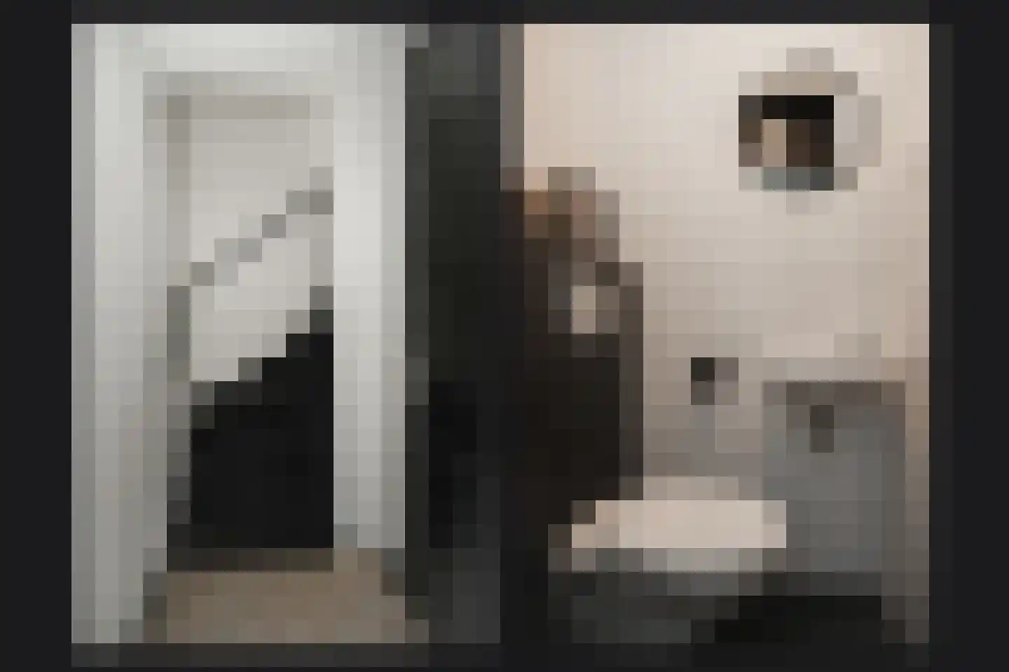 Ipperakkeren 24 Kerkdriel thumbnail 19