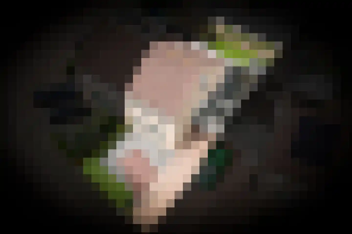 Ipperakkeren 24 Kerkdriel thumbnail 43