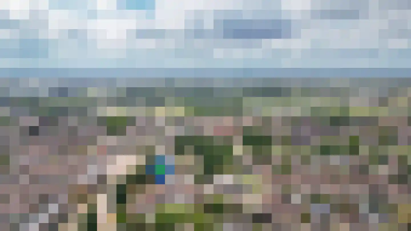 Ipperakkeren 24 Kerkdriel thumbnail 45