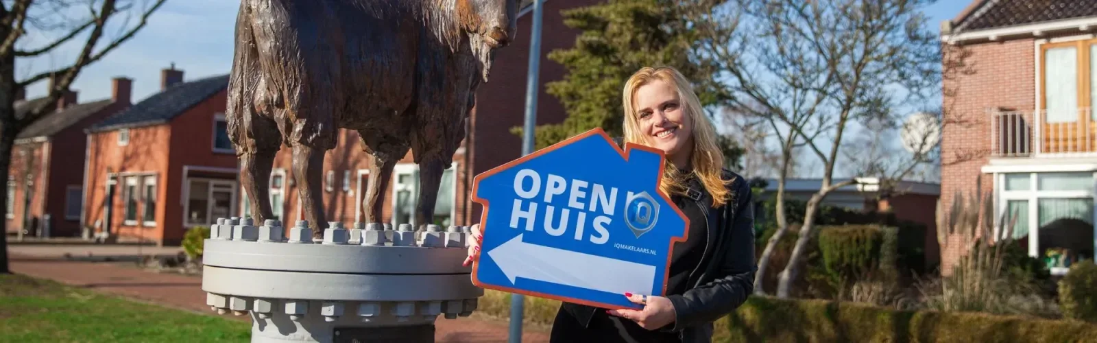 Team photo of iQ Makelaars Midden-Groningen