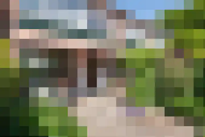 Ir. Albardastraat 7 Ridderkerk thumbnail 10