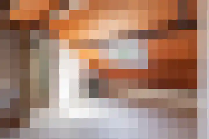 Ir. Albardastraat 7 Ridderkerk thumbnail 19