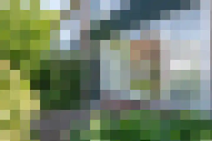 Ir. Albardastraat 7 Ridderkerk thumbnail 22