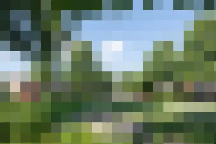 Ir. Albardastraat 7 Ridderkerk thumbnail 25