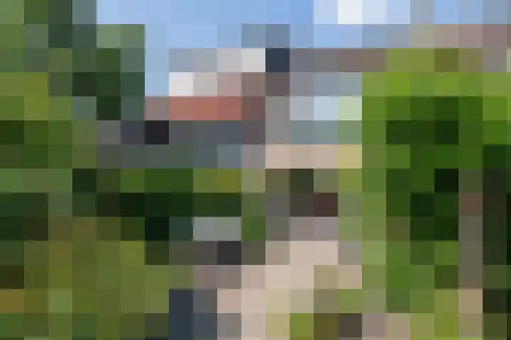 Ir. Albardastraat 7 Ridderkerk thumbnail 8