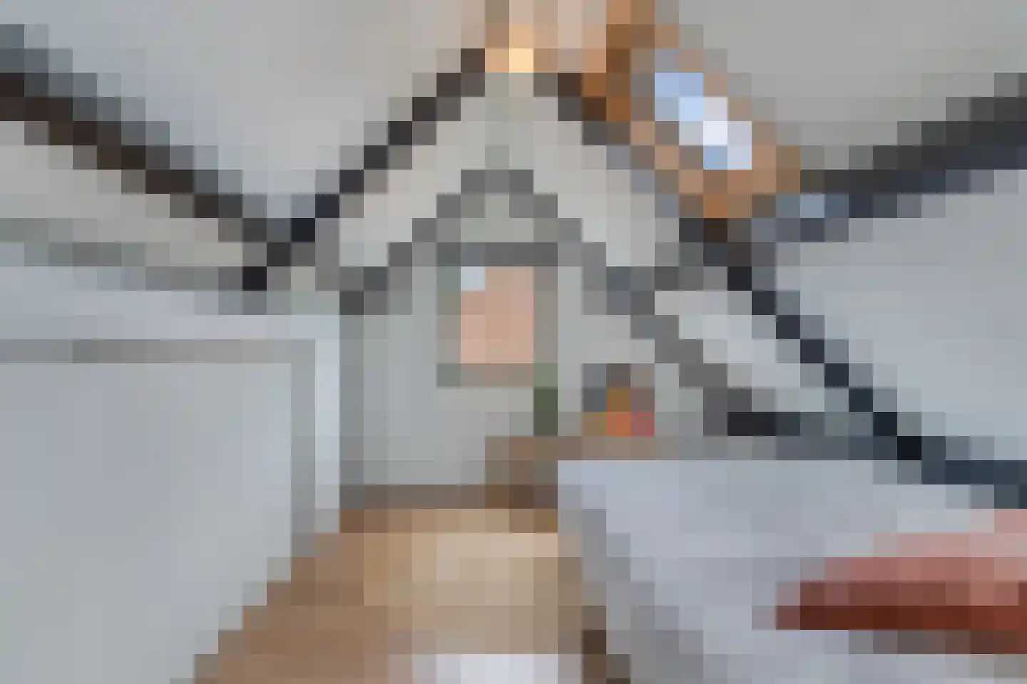 Ir. C.A. Kloosterhuisstraat 11 Willemsoord thumbnail 33
