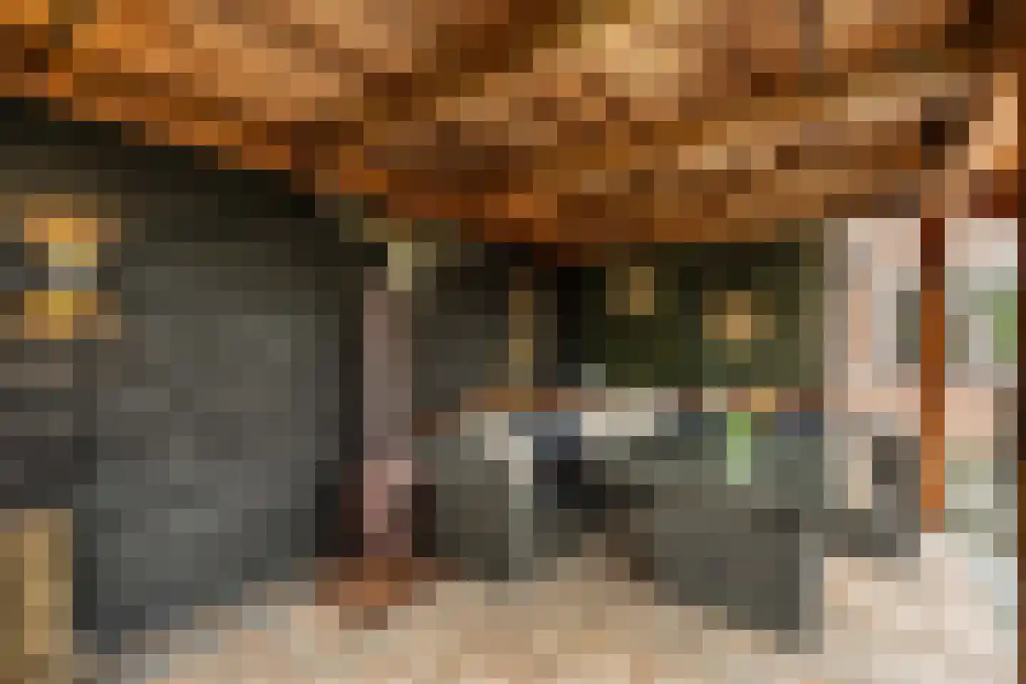 Ir. C.A. Kloosterhuisstraat 11 Willemsoord thumbnail 40
