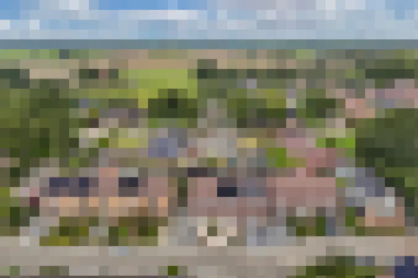 Ir. C.A. Kloosterhuisstraat 11 Willemsoord thumbnail 9