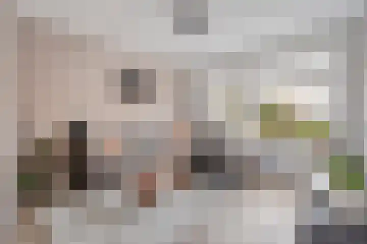 Ir. C.A. Kloosterhuisstraat 2 Willemsoord thumbnail 14