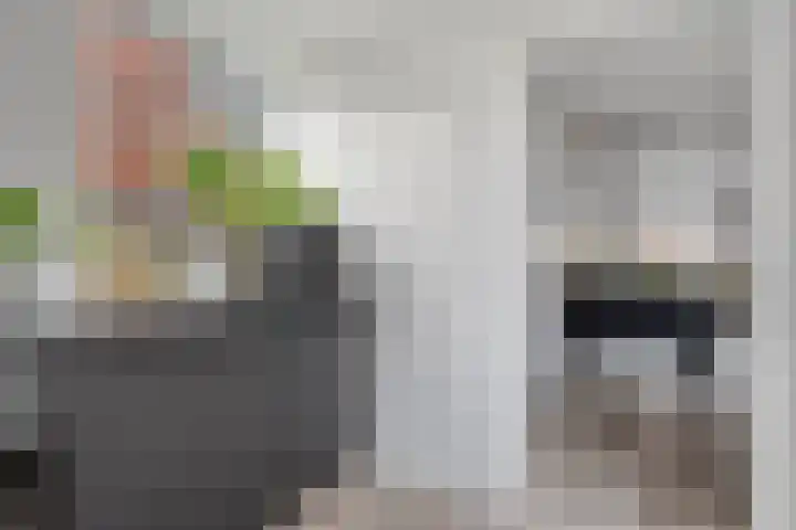 Ir. C.A. Kloosterhuisstraat 2 Willemsoord thumbnail 19
