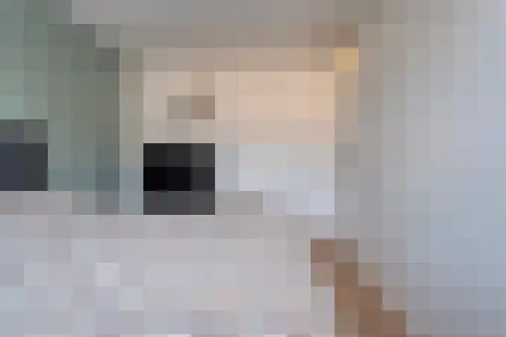 Ir. C.A. Kloosterhuisstraat 2 Willemsoord thumbnail 26