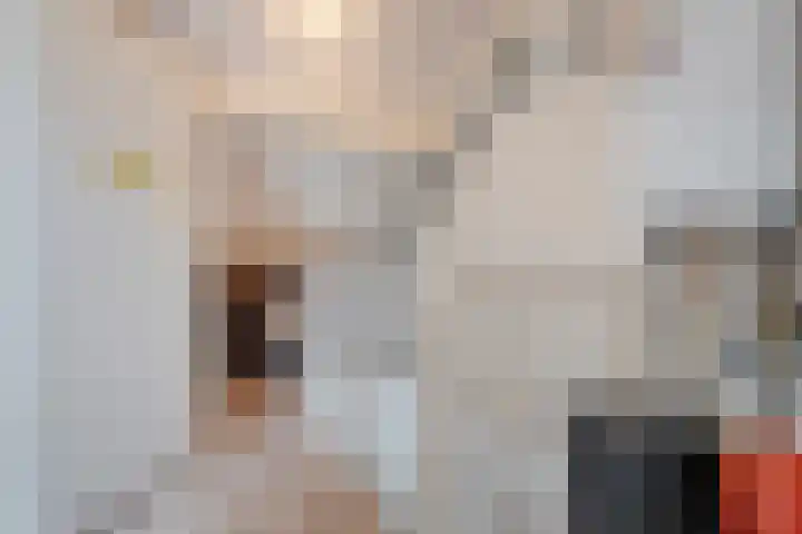 Ir. C.A. Kloosterhuisstraat 2 Willemsoord thumbnail 30
