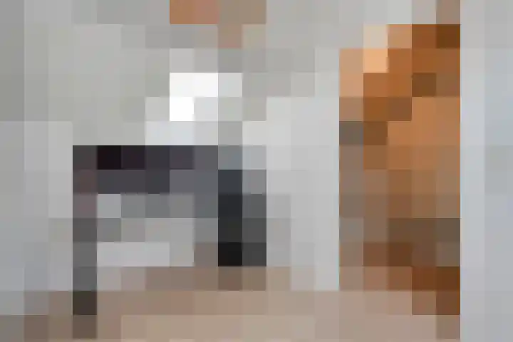 Ir. C.A. Kloosterhuisstraat 2 Willemsoord thumbnail 32