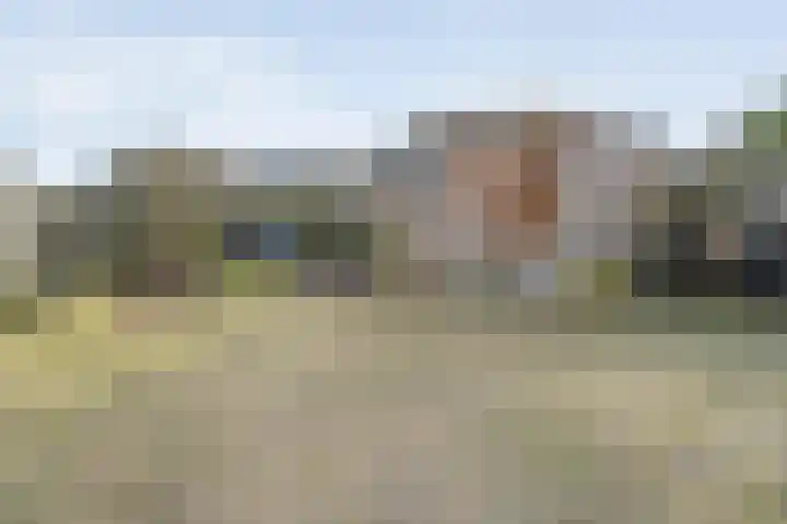 Ir. C.A. Kloosterhuisstraat 2 Willemsoord thumbnail 38