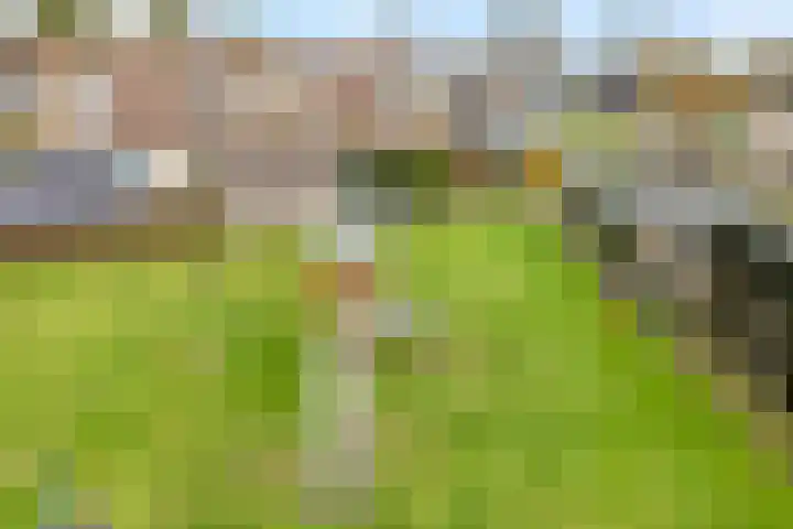 Ir. C.A. Kloosterhuisstraat 2 Willemsoord thumbnail 41