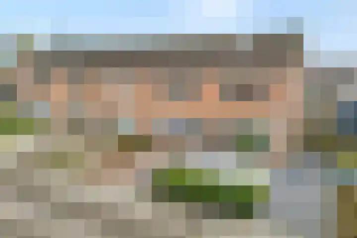 Ir. C.A. Kloosterhuisstraat 2 Willemsoord thumbnail 6